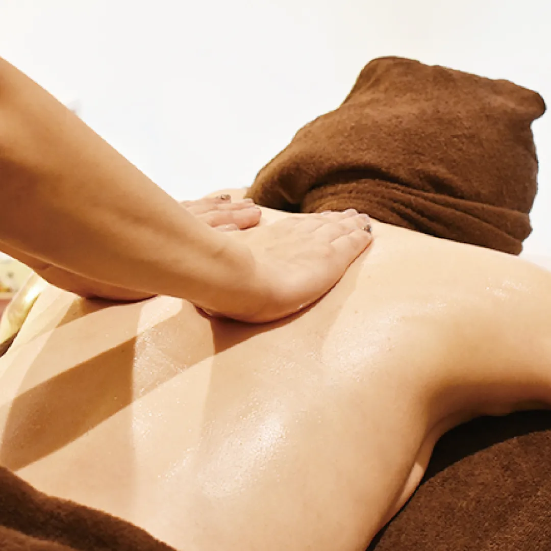 bika_body2